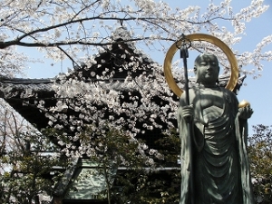 とりあえず、１枚だけ写真をアップ。高台寺と円山公園の間のお寺です。